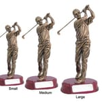 Resin bronze golf trophy